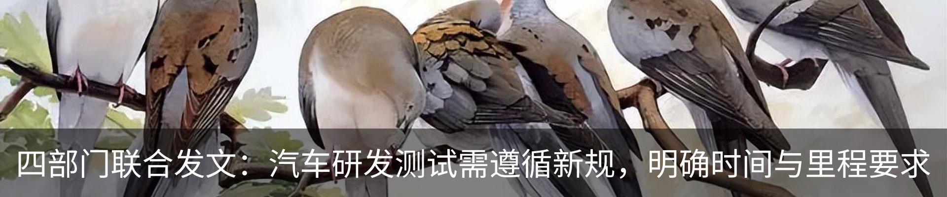 资讯动态